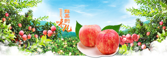 順農果品現代農業園區 探索果品產業的科技與創新之路