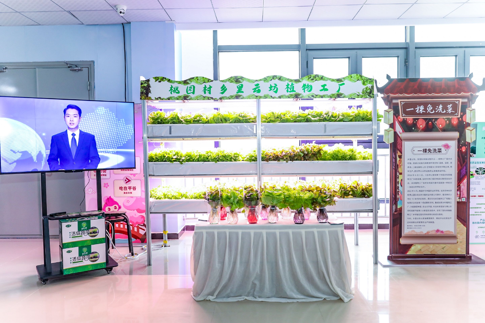 頭茬鮮桃擺進桃花海！平谷土特產與蔬菜零售攜手亮相